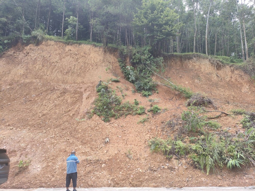 QQ圖片20220812162820