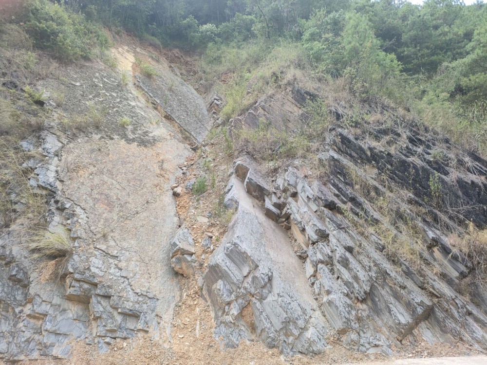 QQ圖片20220812162839