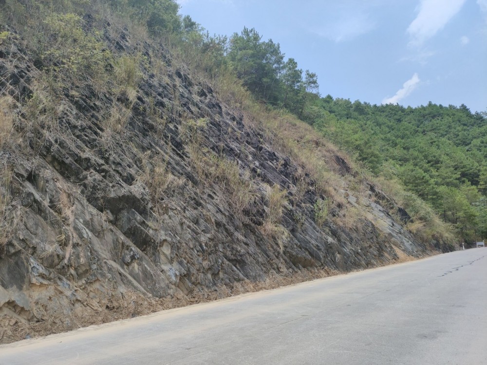 QQ圖片20220812162835