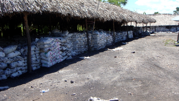 印尼花布港金礦勘查