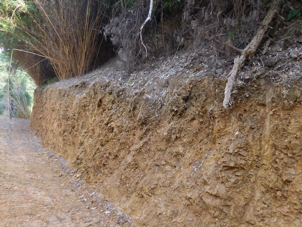 友(yǒu)誼關陳列館護坡勘查