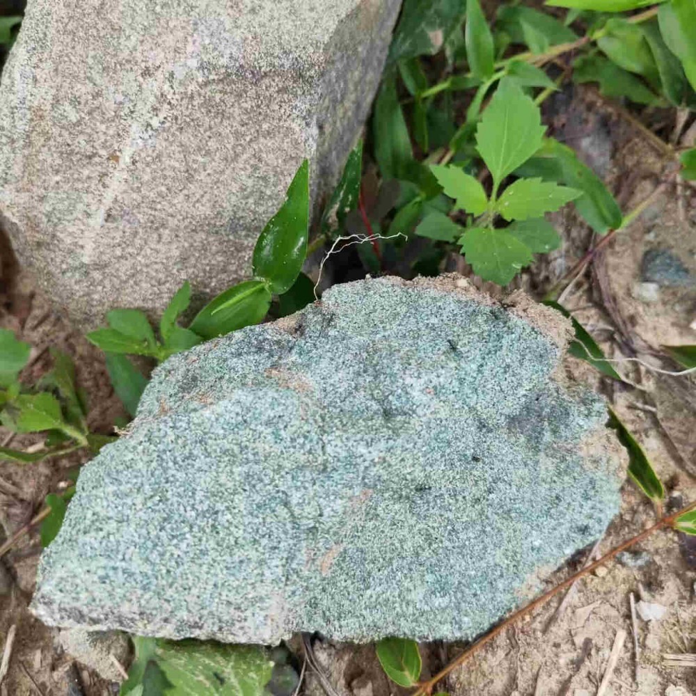 NH~EB{{Z9`S{B5$UHWEY[67_tmb