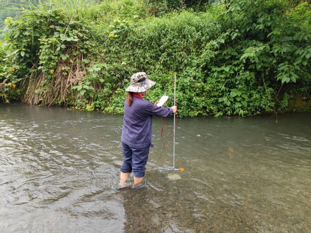 QQ圖片20240509101136