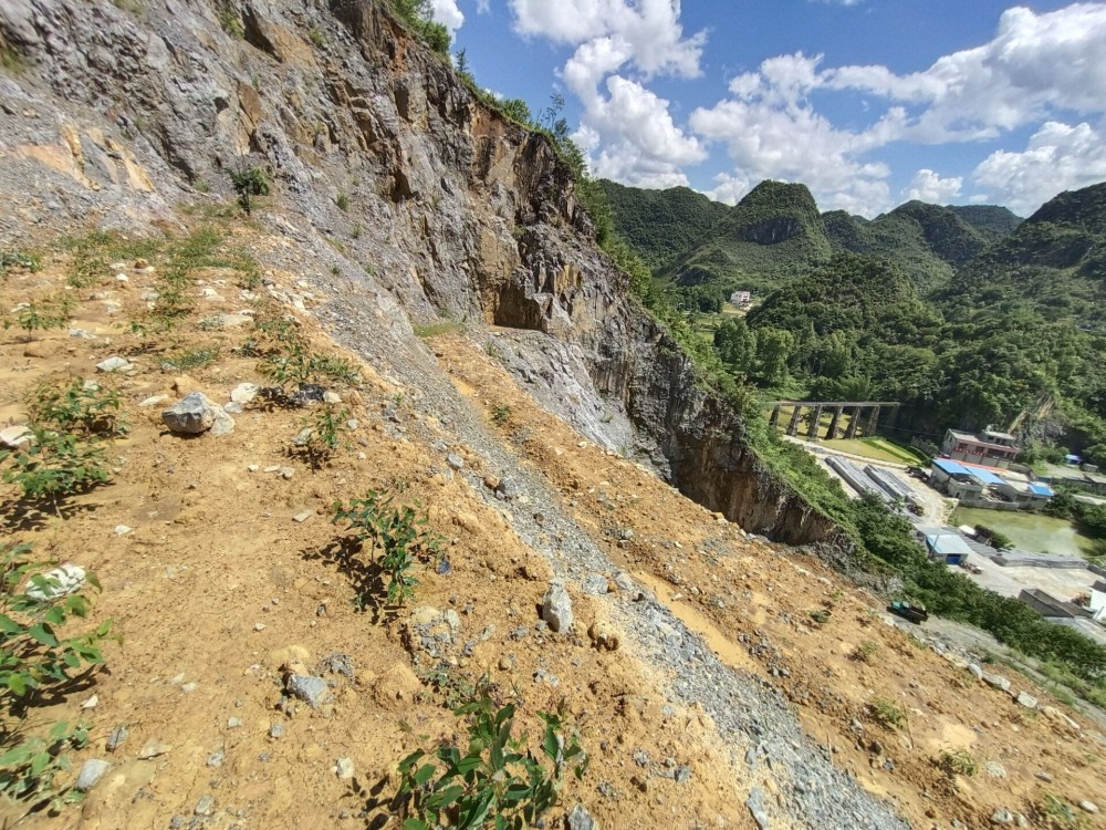 QQ圖片20220712151741