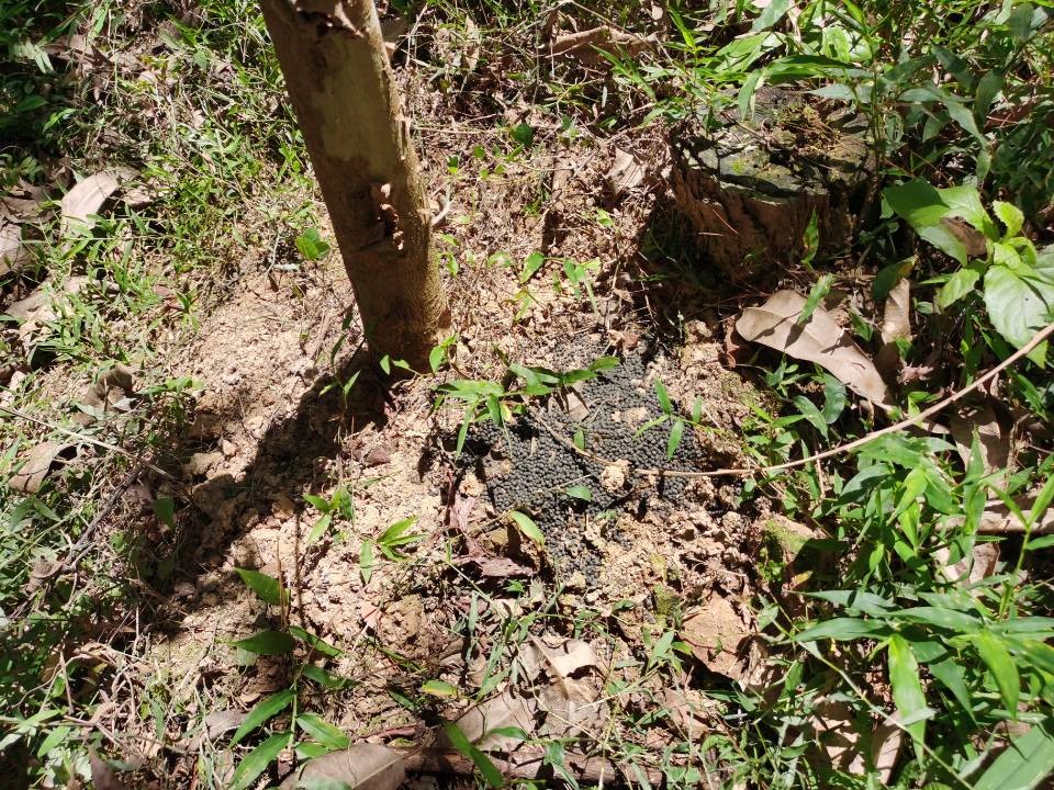 QQ圖片20220812163157