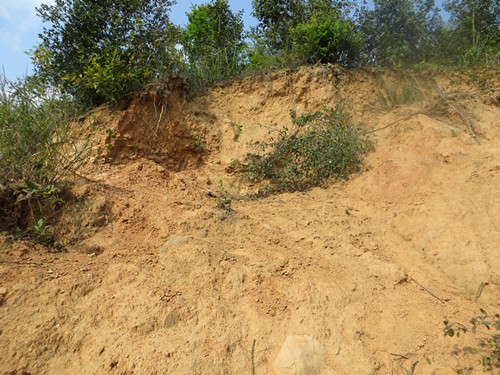 田東義圩粘土(tǔ)礦