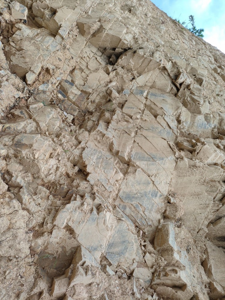 QQ圖片20220812163220