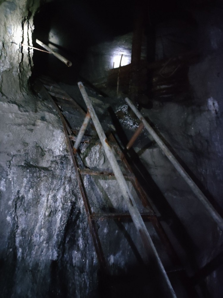 QQ圖片20221012151329