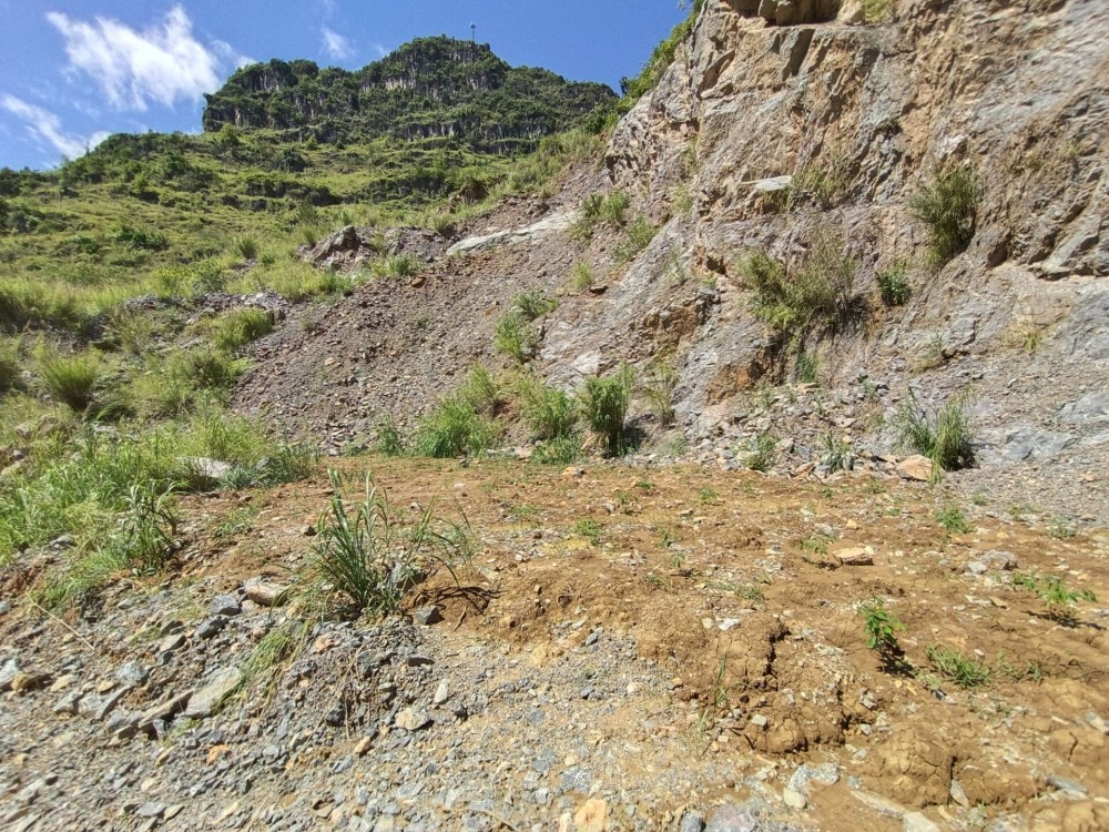 QQ圖片20220712151730