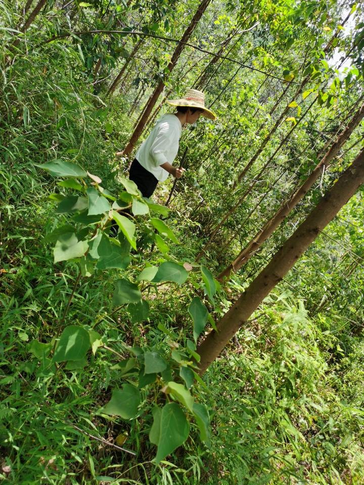 QQ圖片20220812163203