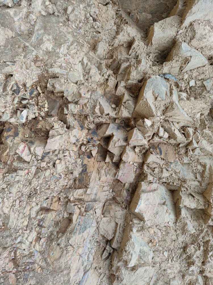 QQ圖片20220812163217