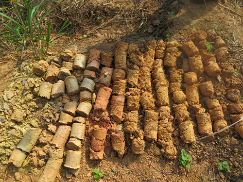 田東義圩粘土(tǔ)礦