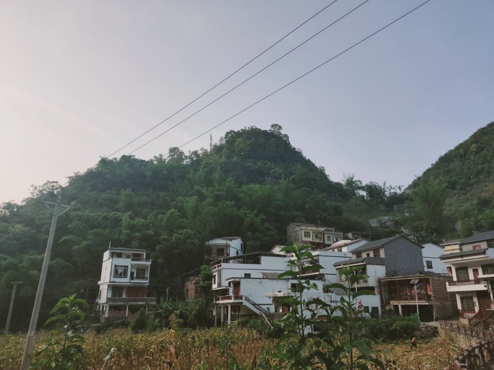 2022.7.17出差田東