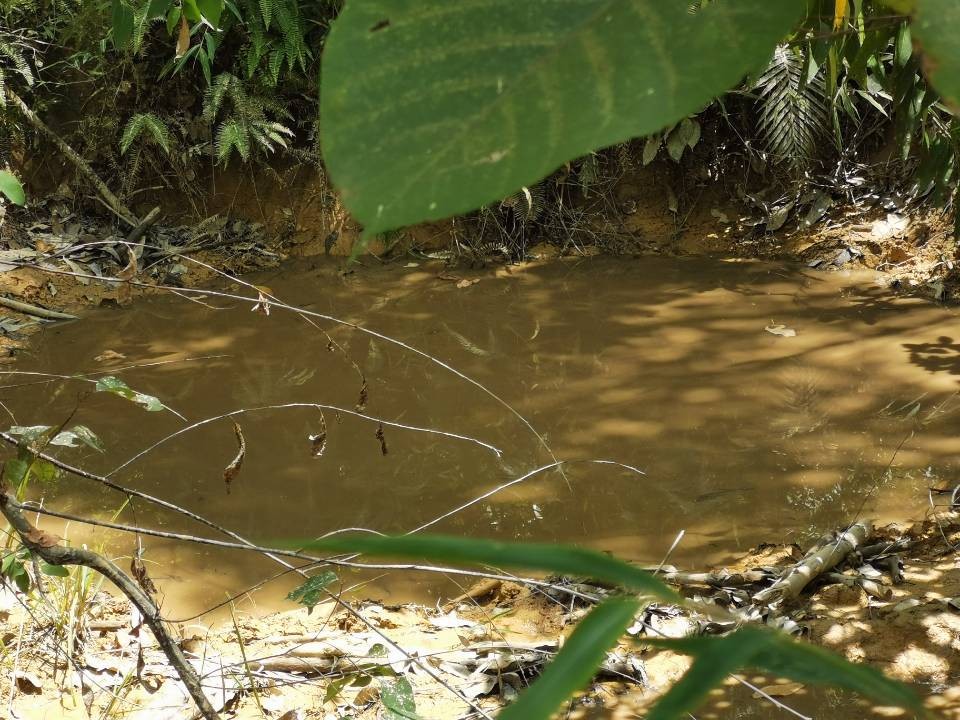 QQ圖片20220812163149